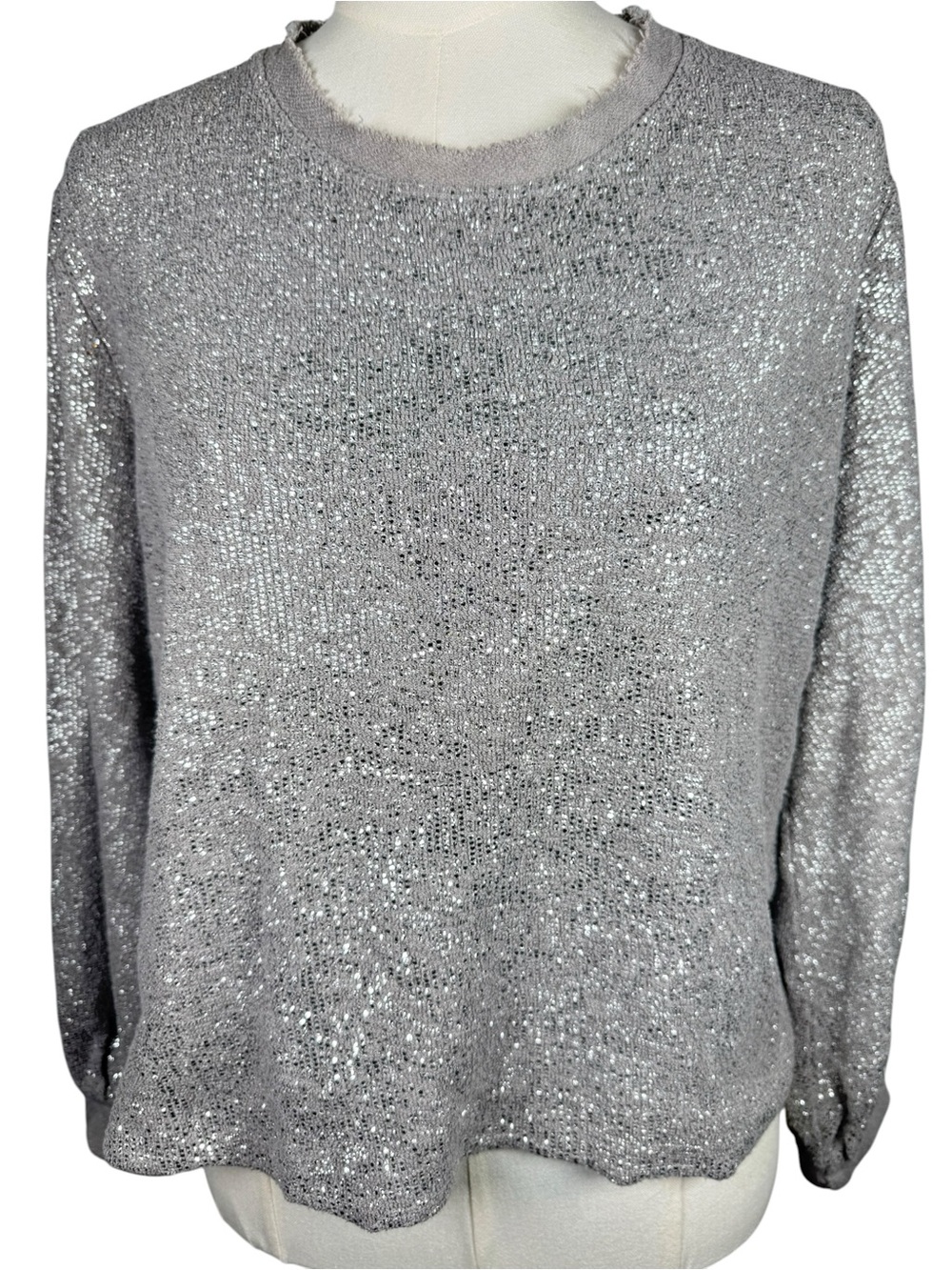 Anthropologie Dolan Left Coast Shine Sweatshirt Metallic Sparkle Silver M